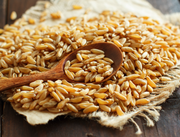 BIO Kamut Urweizen Vollkornmehl BIOMOND 1 kg Khorasan-Weizen frisch gemahlen
